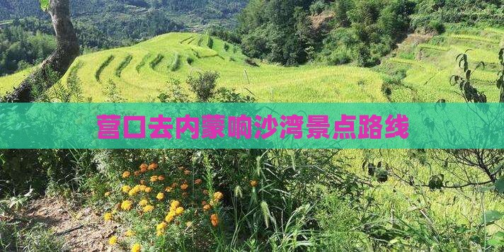 营口去内蒙响沙湾景点路线
