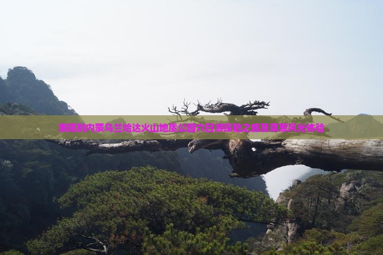 南阳到内蒙乌兰哈达火山地质公园六日游探险之旅及草原风光体验
