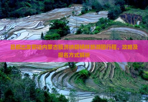 昌都出发前往内蒙古额济纳胡杨林旅游团行程、攻略及报名方式解析