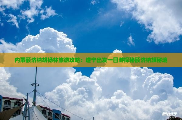 内蒙额济纳胡杨林旅游攻略：遂宁出发一日游探秘额济纳旗秘境