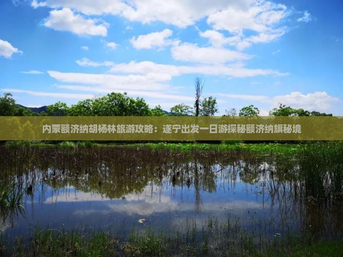 内蒙额济纳胡杨林旅游攻略：遂宁出发一日游探秘额济纳旗秘境