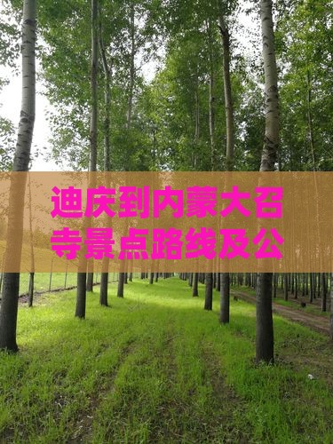 迪庆到内蒙大召寺景点路线及公里数
