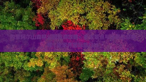 内蒙阿尔山森林公园旅游攻略：必去景点与住宿信息推荐 | 张家界国际旅行社
