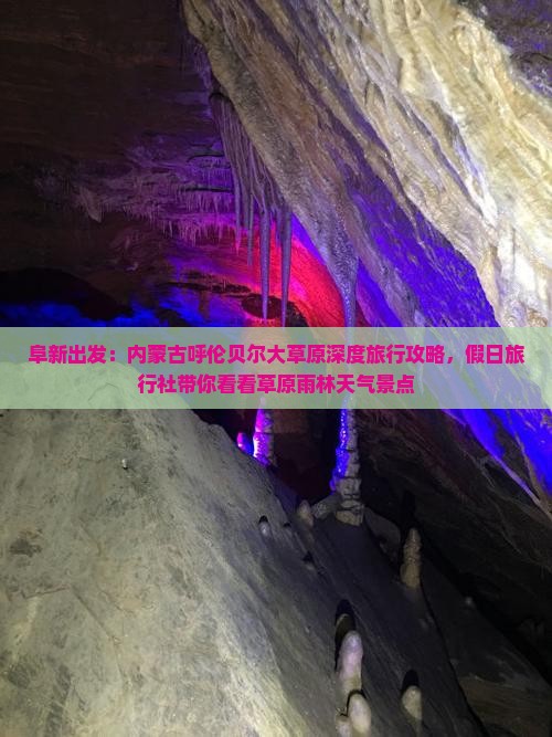 阜新出发：内蒙古呼伦贝尔大草原深度旅行攻略，假日旅行社带你看看草原雨林天气景点