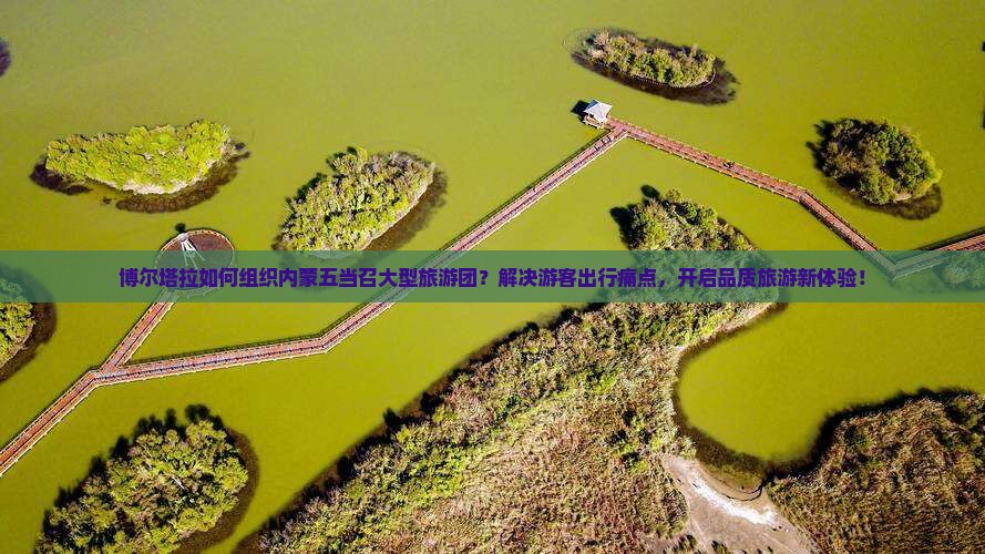 博尔塔拉如何组织内蒙五当召大型旅游团？解决游客出行痛点，开启品质旅游新体验！
