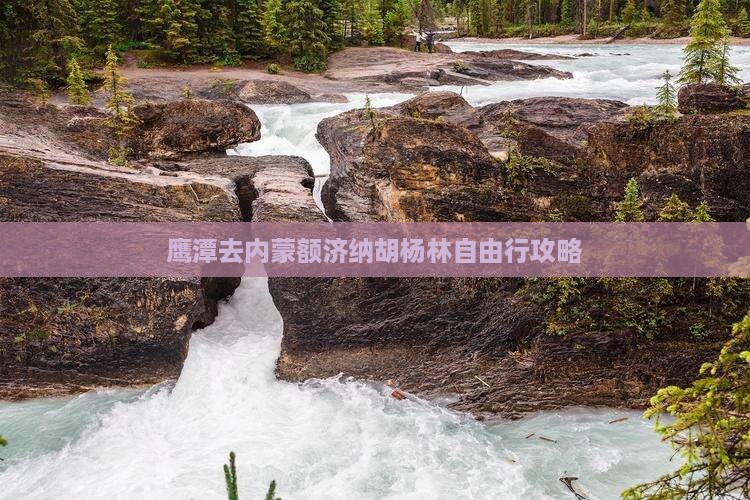 鹰潭去内蒙额济纳胡杨林自由行攻略