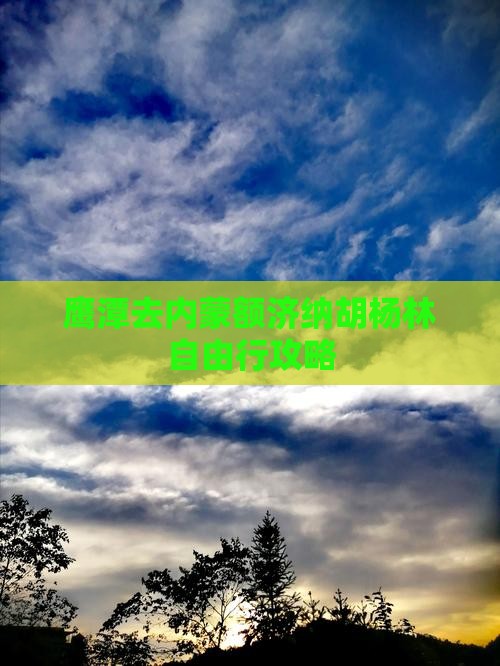 鹰潭去内蒙额济纳胡杨林自由行攻略
