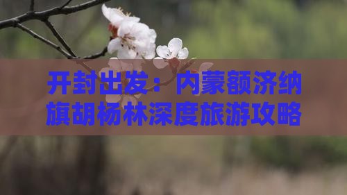 开封出发：内蒙额济纳旗胡杨林深度旅游攻略