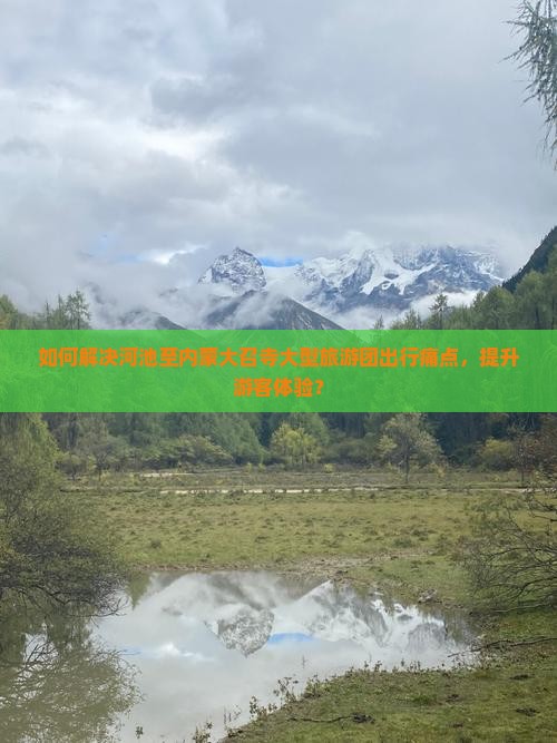 如何解决河池至内蒙大召寺大型旅游团出行痛点，提升游客体验？