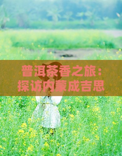 普洱茶香之旅：探访内蒙成吉思汗陵必去地