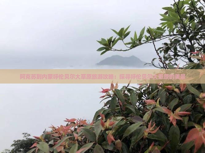 阿克苏到内蒙呼伦贝尔大草原旅游攻略：探寻呼伦贝尔大草原的美景