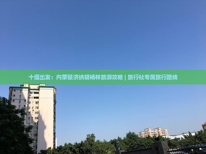 十堰出发：内蒙额济纳胡杨林旅游攻略 | 旅行社专属旅行路线