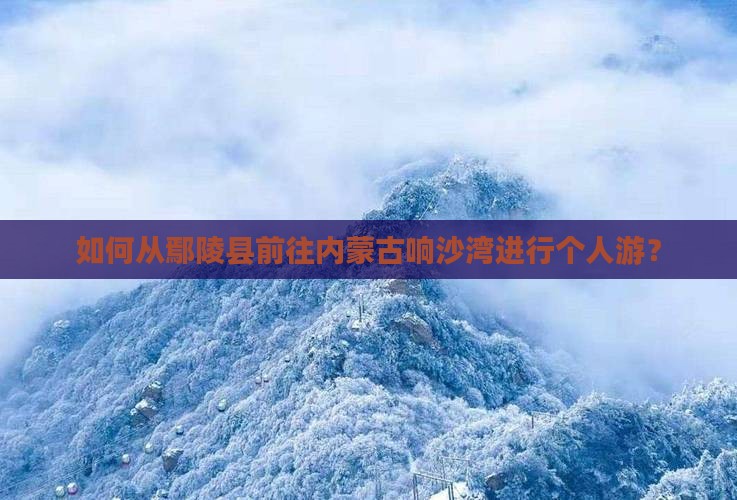 如何从鄢陵县前往内蒙古响沙湾进行个人游？
