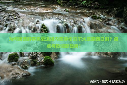 为何湘西游客热衷选择内蒙呼伦贝尔大草原四日游？痛点与热词新趋势！