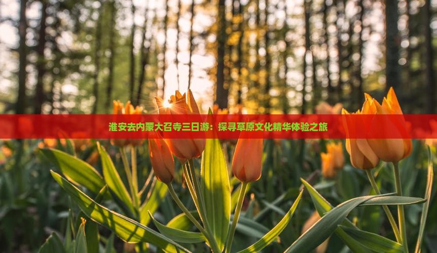 淮安去内蒙大召寺三日游：探寻草原文化精华体验之旅