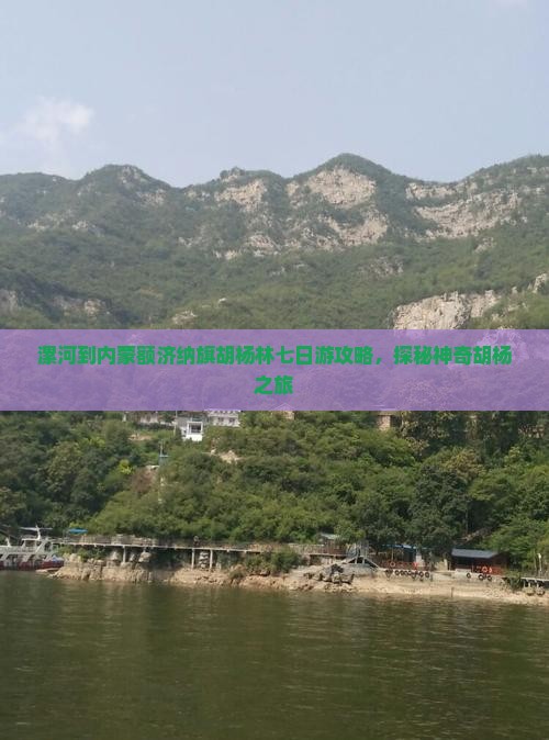 漯河到内蒙额济纳旗胡杨林七日游攻略，探秘神奇胡杨之旅