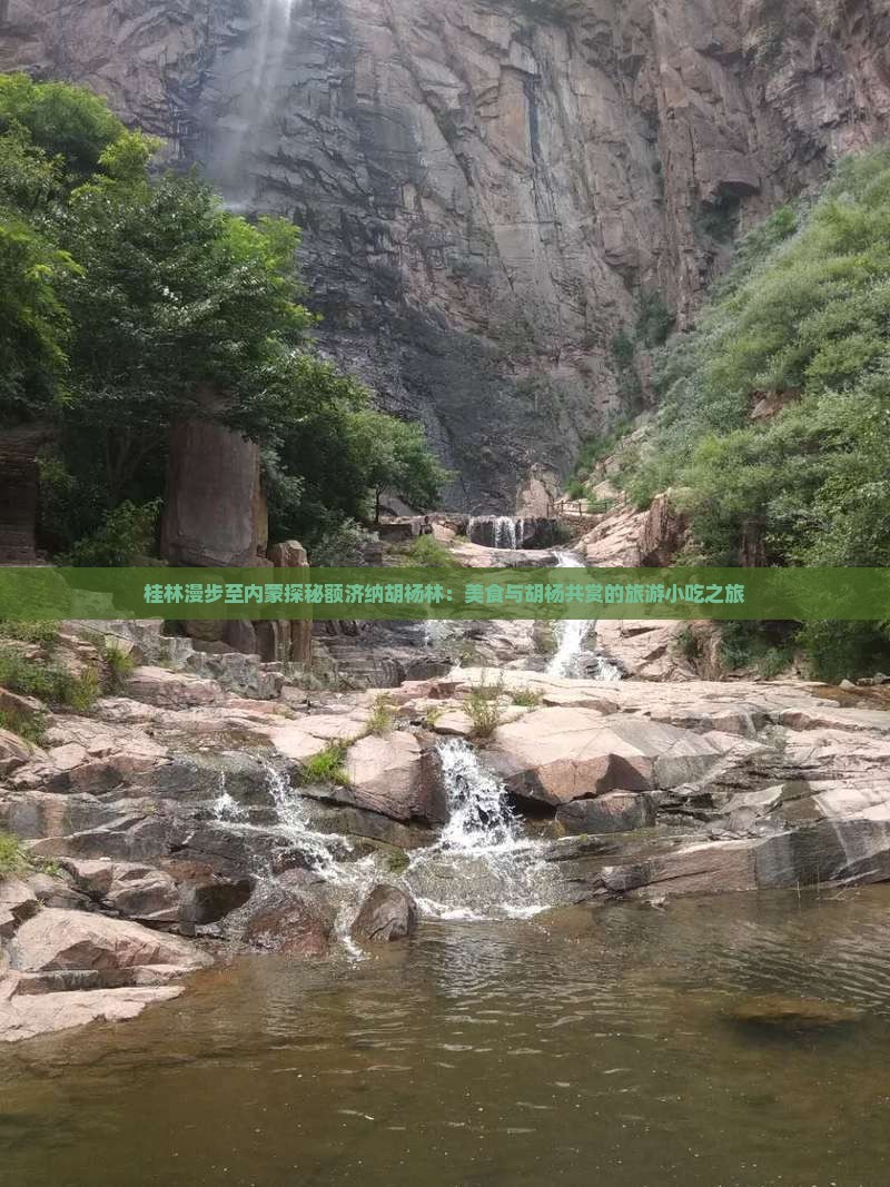 桂林漫步至内蒙探秘额济纳胡杨林：美食与胡杨共赏的旅游小吃之旅