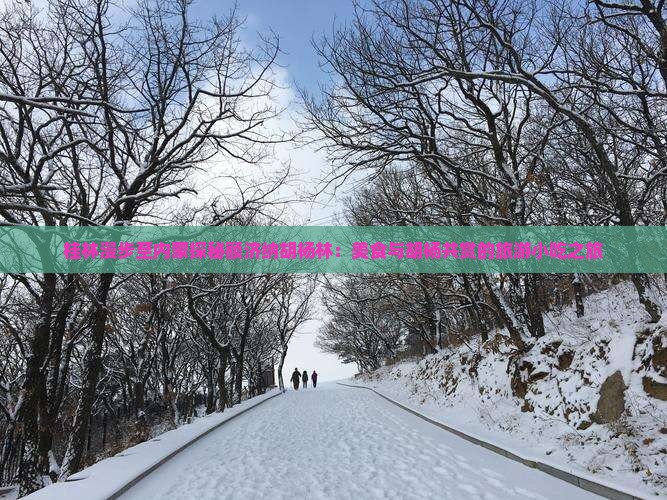 桂林漫步至内蒙探秘额济纳胡杨林：美食与胡杨共赏的旅游小吃之旅