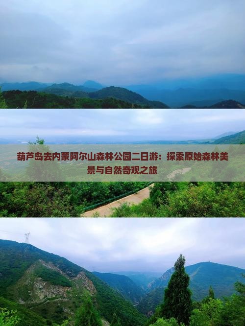 葫芦岛去内蒙阿尔山森林公园二日游：探索原始森林美景与自然奇观之旅