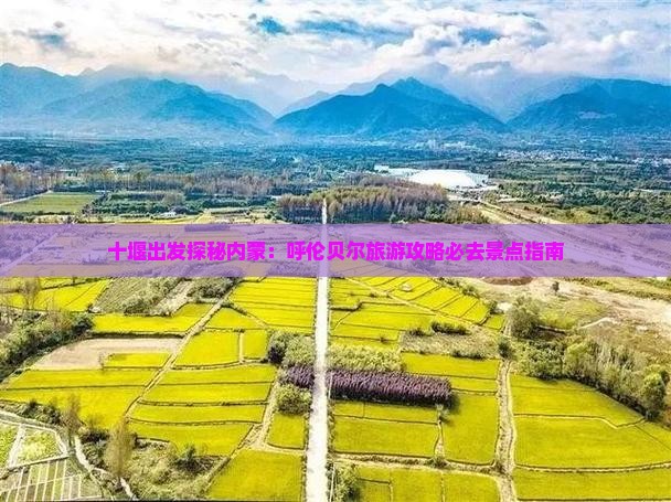 十堰出发探秘内蒙：呼伦贝尔旅游攻略必去景点指南