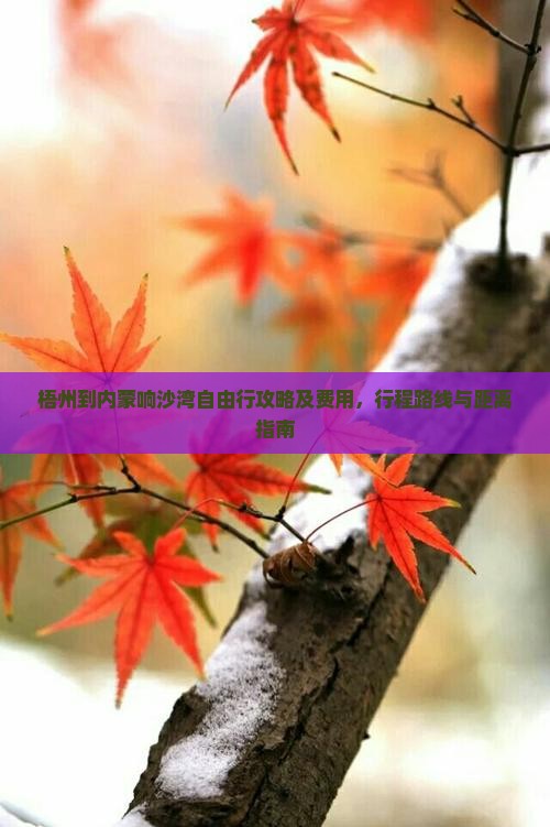 梧州到内蒙响沙湾自由行攻略及费用，行程路线与距离指南