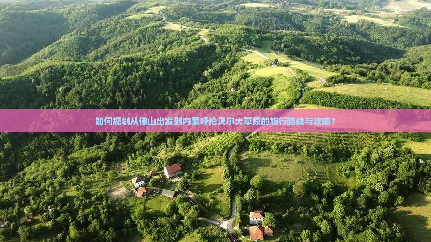 如何规划从佛山出发到内蒙呼伦贝尔大草原的旅行路线与攻略？