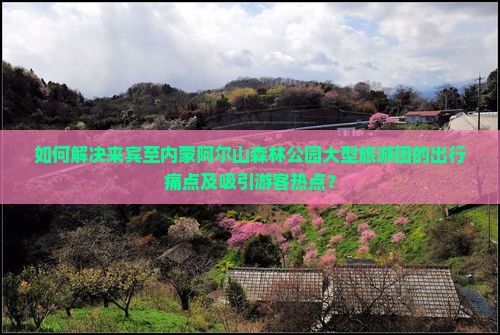 如何解决来宾至内蒙阿尔山森林公园大型旅游团的出行痛点及吸引游客热点？