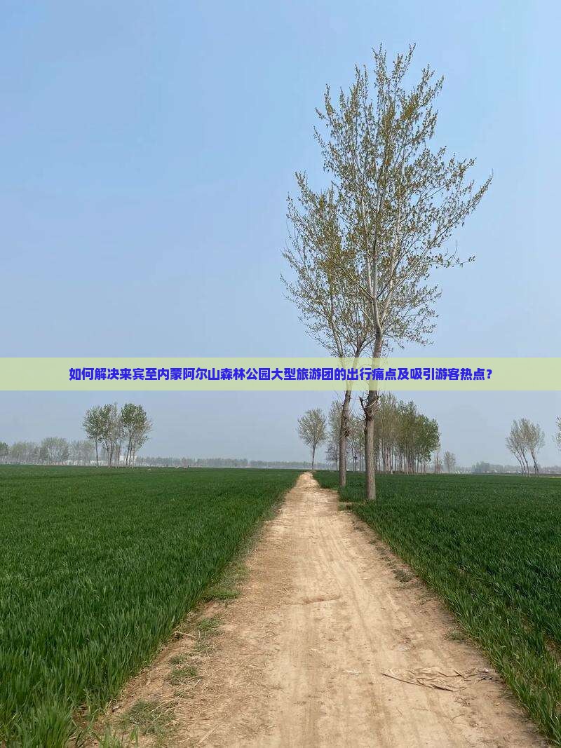 如何解决来宾至内蒙阿尔山森林公园大型旅游团的出行痛点及吸引游客热点？
