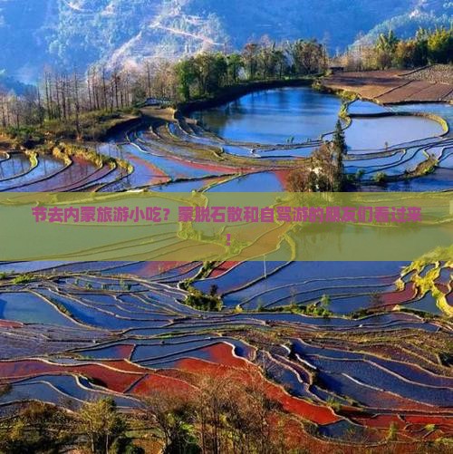 节去内蒙旅游小吃？蒙脱石散和自驾游的朋友们看过来！