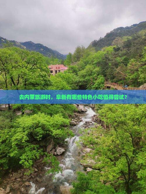 去内蒙旅游时，阜新有哪些特色小吃值得尝试？