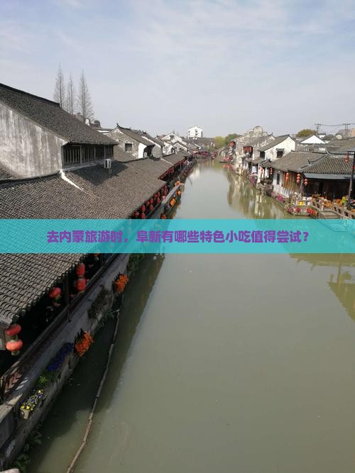 去内蒙旅游时，阜新有哪些特色小吃值得尝试？