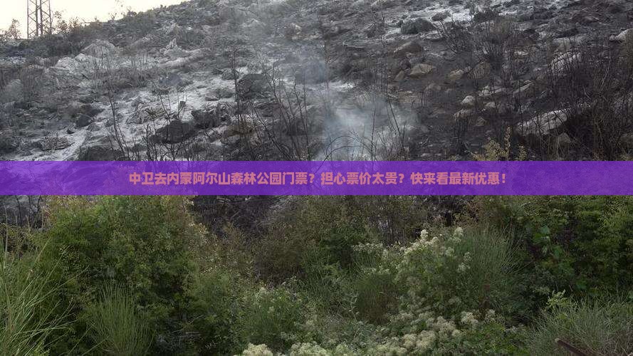 中卫去内蒙阿尔山森林公园门票？担心票价太贵？快来看最新优惠！