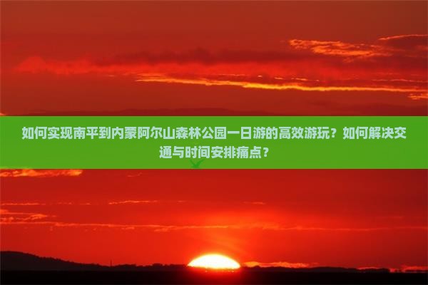 如何实现南平到内蒙阿尔山森林公园一日游的高效游玩？如何解决交通与时间安排痛点？