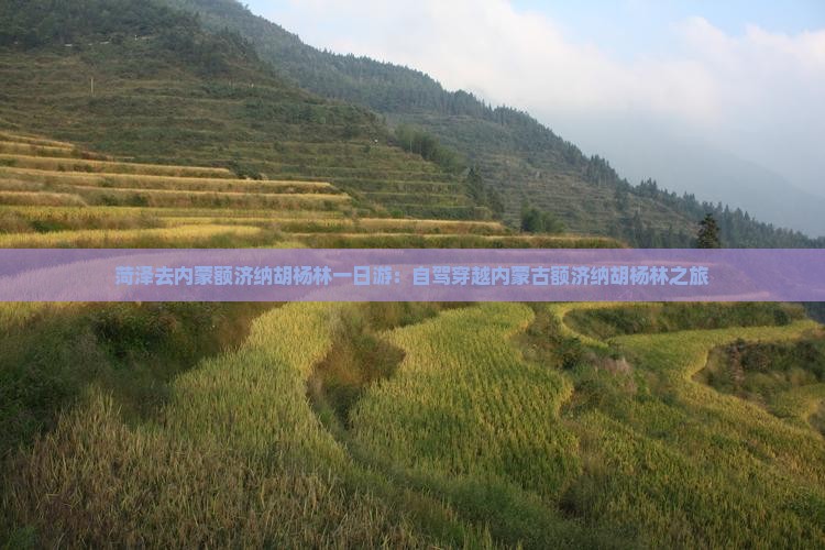 菏泽去内蒙额济纳胡杨林一日游：自驾穿越内蒙古额济纳胡杨林之旅