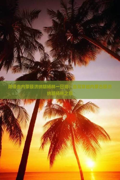 菏泽去内蒙额济纳胡杨林一日游：自驾穿越内蒙古额济纳胡杨林之旅