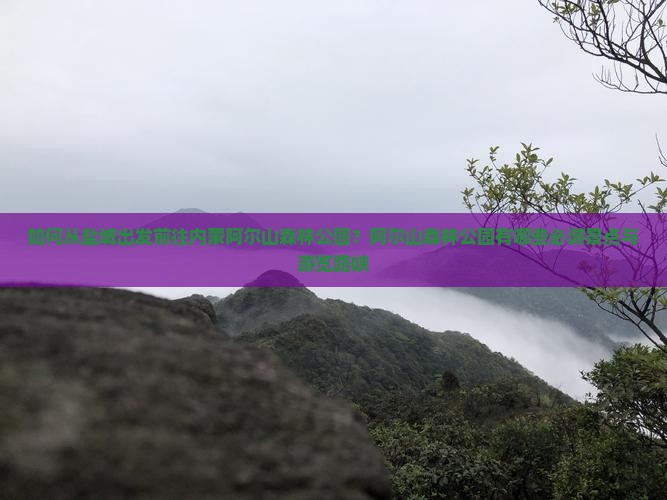 如何从盐城出发前往内蒙阿尔山森林公园？阿尔山森林公园有哪些必游景点与游览路峡