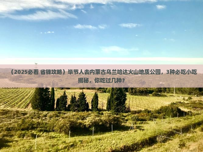 毕节去内蒙乌兰哈达火山地质公园旅游小吃