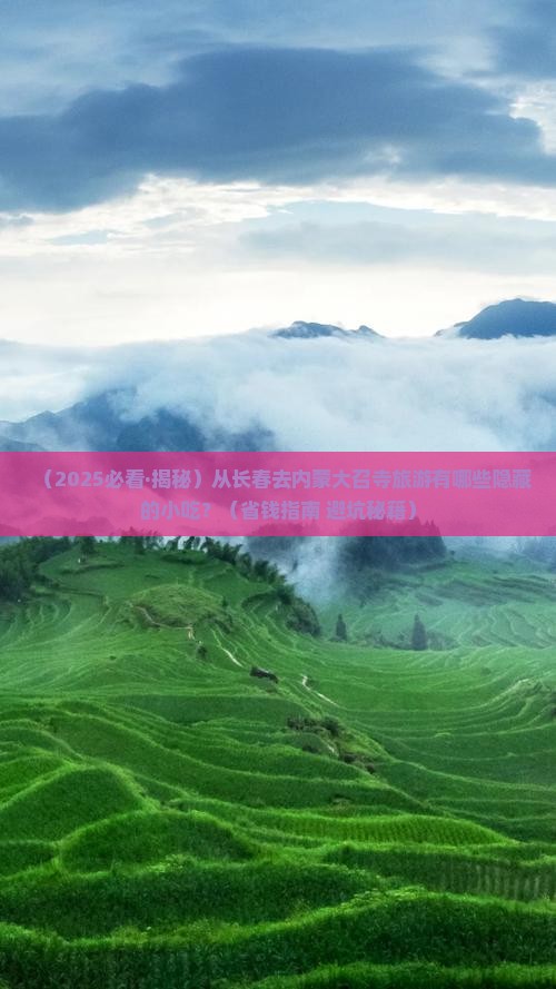长春到内蒙大召寺旅游小吃