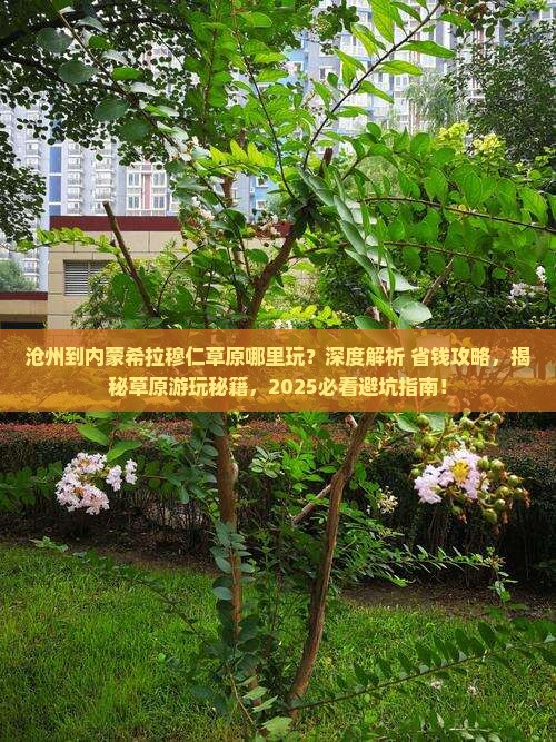 沧州到内蒙希拉穆仁草原哪里玩
