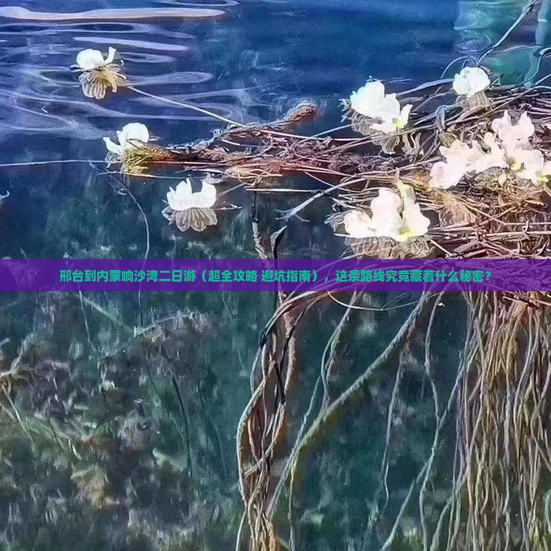 邢台到内蒙响沙湾二日游