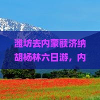 潍坊去内蒙额济纳胡杨林六日游
