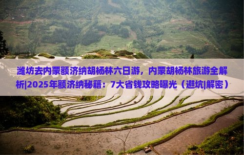 潍坊去内蒙额济纳胡杨林六日游
