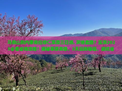 马鞍山到内蒙希拉穆仁草原三日游