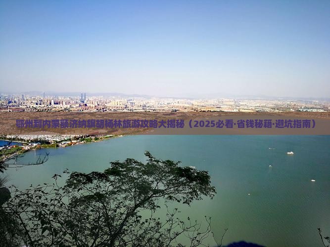 鄂州去内蒙额济纳胡杨林自由行