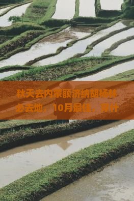 秋天去内蒙额济纳胡杨林必去地