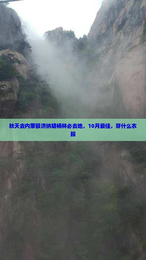 秋天去内蒙额济纳胡杨林必去地