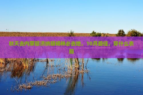 秋天去内蒙额济纳胡杨林必去地