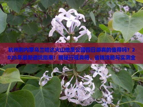 杭州到内蒙乌兰哈达火山地质公园四日游