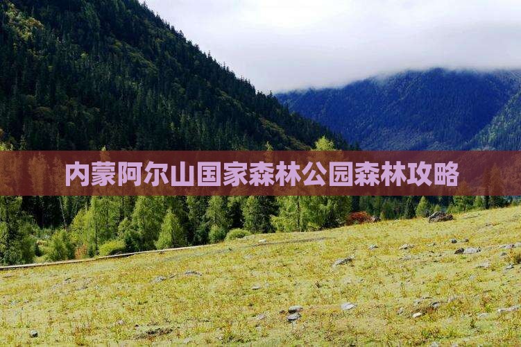 红河去内蒙阿尔山国家森林公园攻略