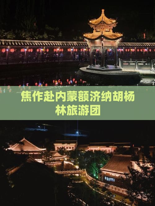 焦作去内蒙额济纳胡杨林旅行社